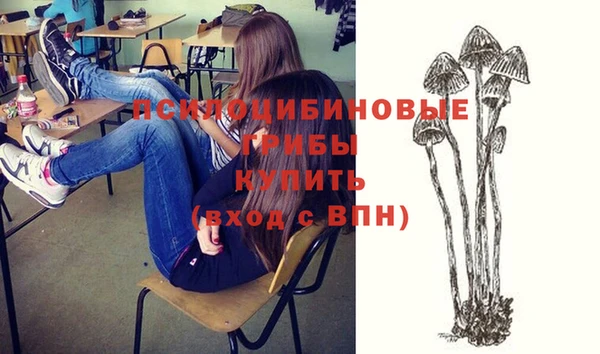 бошки Абинск