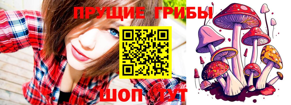Галлюциногенные грибы Psilocybine cubensis  Вход с VPN  Усолье-Сибирское 